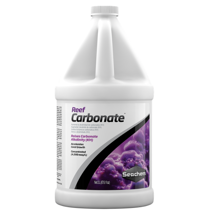 Reef Carbonate
