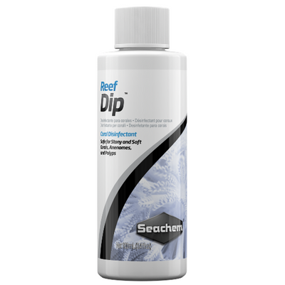 Reef Dip