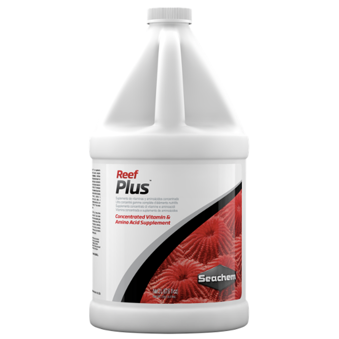 Reef Plus