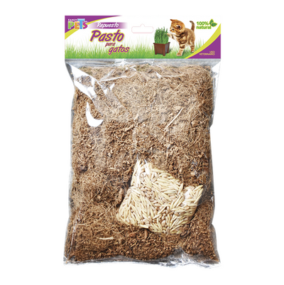 Repuesto Pasto Para Gato (Semillas y Sustrato)