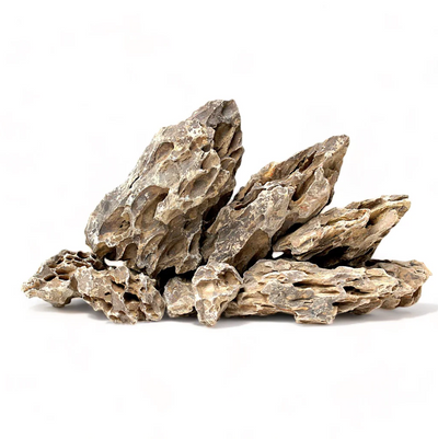 Rocas Decorativas Naturales Dragon