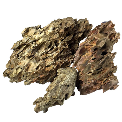 Rocas Decorativas Naturales Dragon