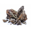 Rocas Decorativas Naturales Dragon
