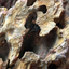 Rocas Decorativas Naturales Dragon