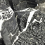 Rocas Decorativas Naturales Cebra