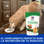 Hill's Science Diet Treat Entrenamiento Pollo 90 gr