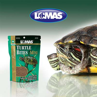 Turtle Bites Mini 90gr