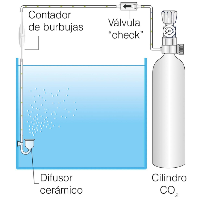 Valvula Check de Acero Inoxidable Para CO2 ISTA