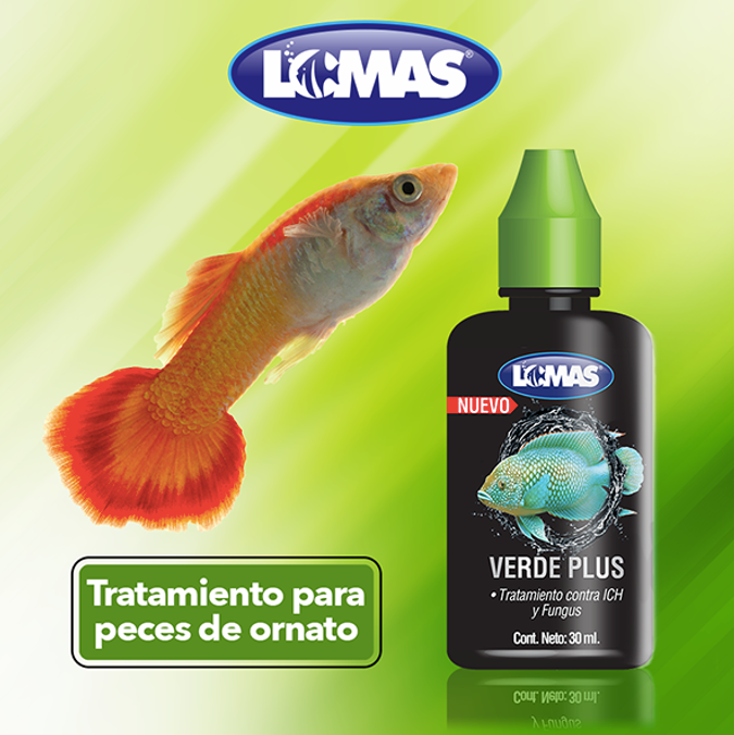 Verde Plus