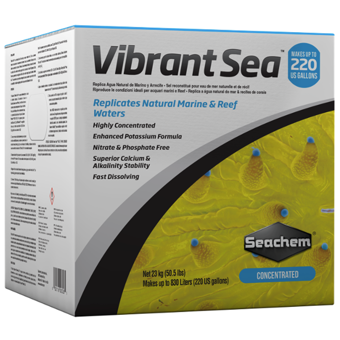 Vibrant Sea