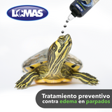 Vitamina A Para Tortugas