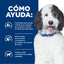 Hill's Prescription Diet c/d Estofado Lata 350 gr