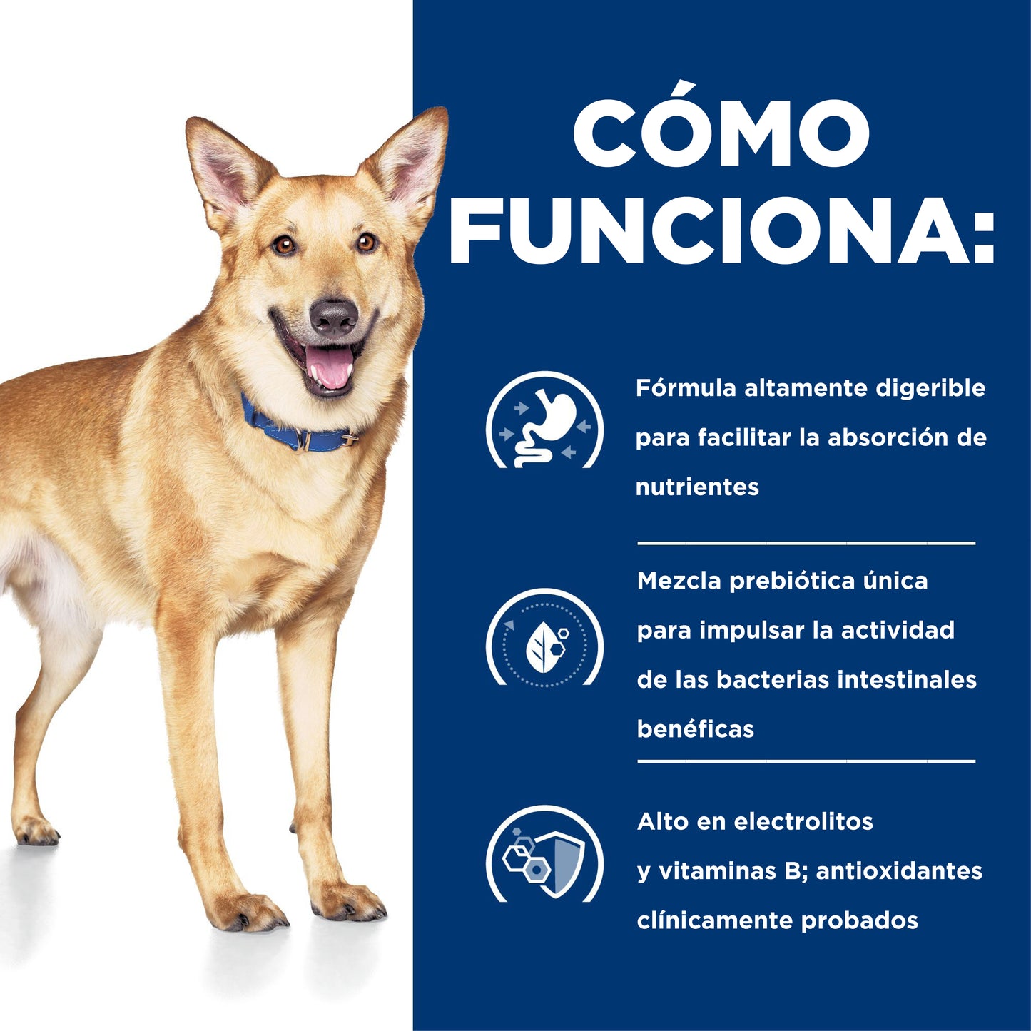 Hill's Prescription Diet i/d Lata estofado 350 gr