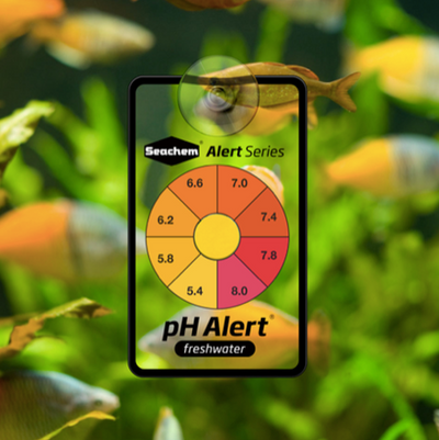 pH Alert