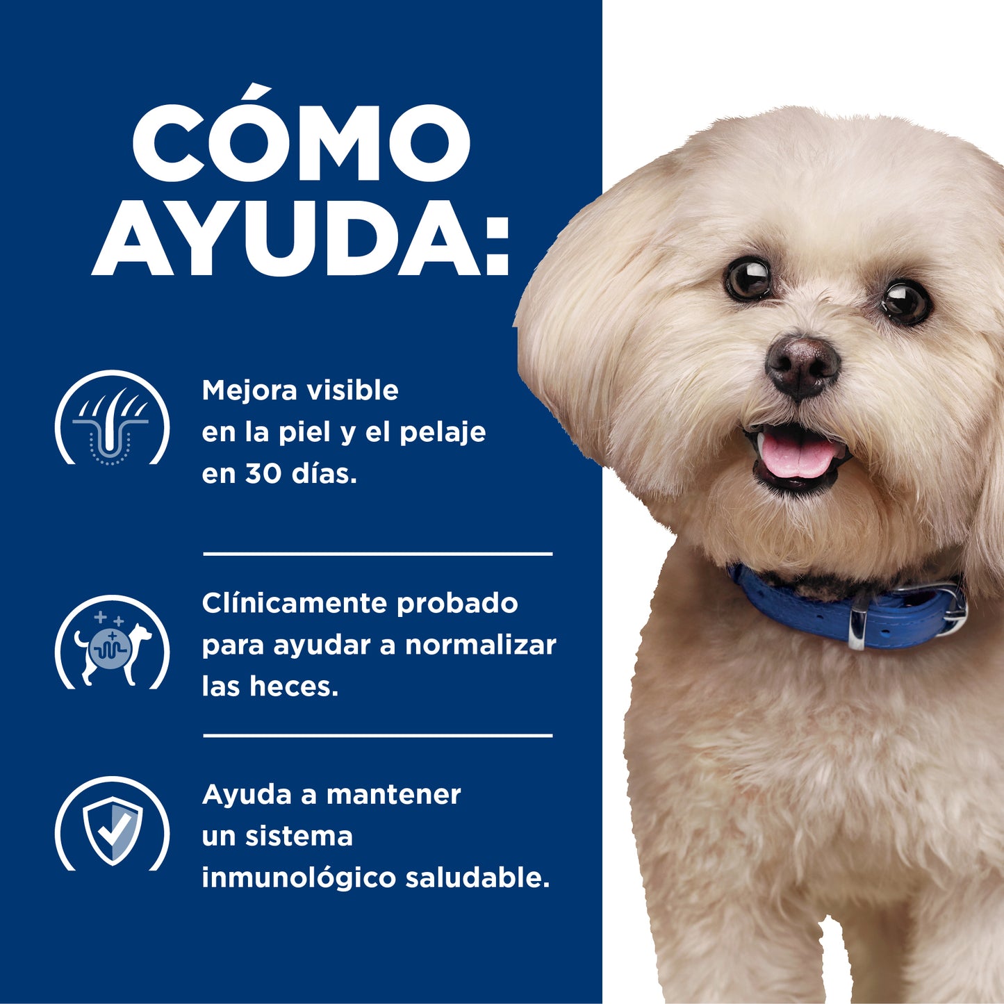 Hill's Prescription Diet z/d Small Bites