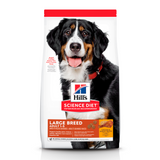 Hill's Science Diet Adult Large Breed