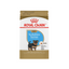 Yorkshire Puppy 1 kg
