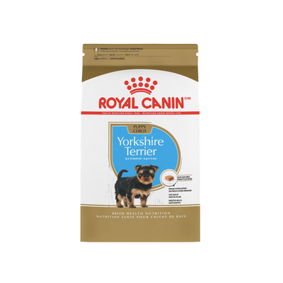Yorkshire Puppy 1 kg