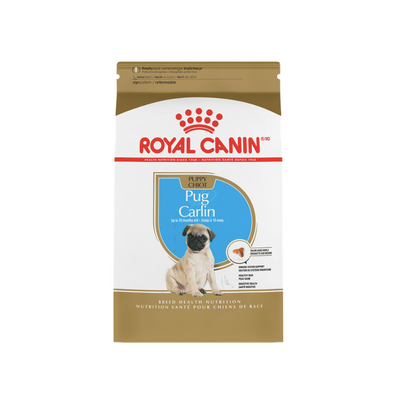 Pug Puppy 1.1 kg