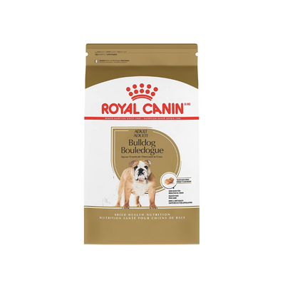 Bulldog Adult