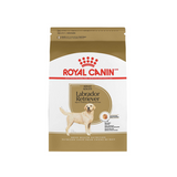 Labrador Retriever Adult 13.6kg