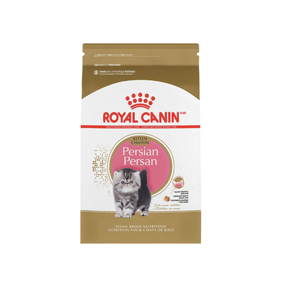 Persian Kitten 1.3 kg