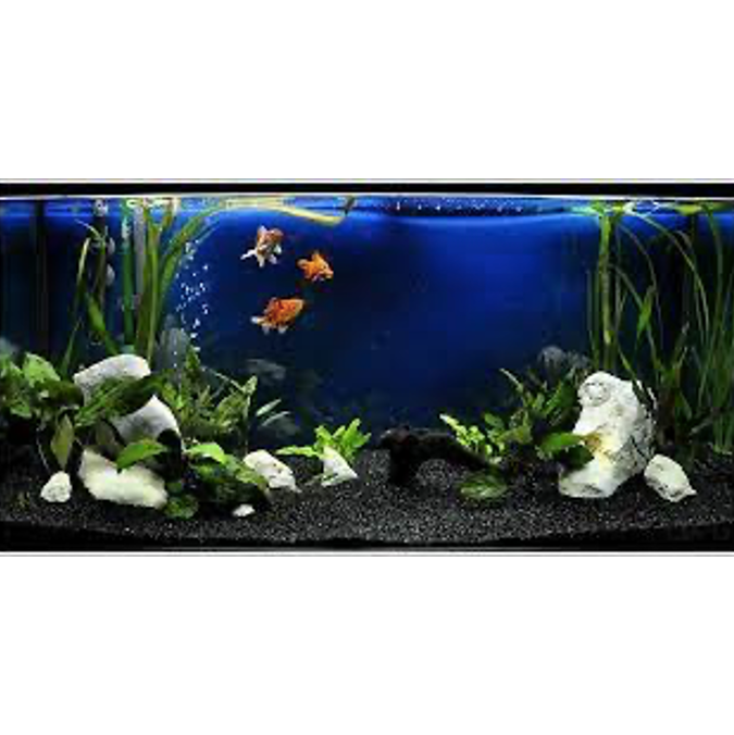 Grava Obsidiana 1kg