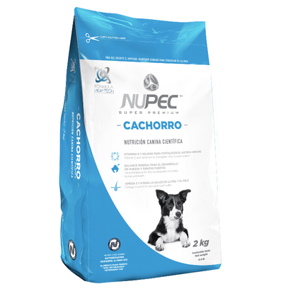 Cachorro
