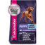 Puppy Large Breed