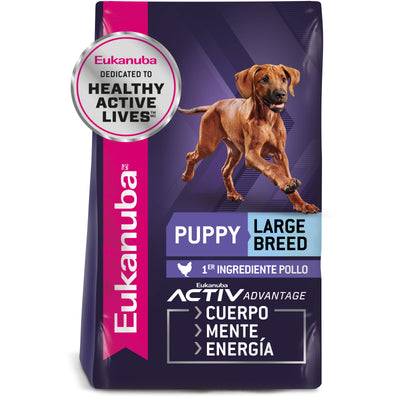 Puppy Large Breed