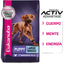 Puppy Large Breed