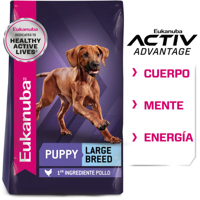 Puppy Large Breed