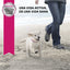 Puppy Large Breed