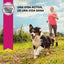 Senior Small Breed 2 kg