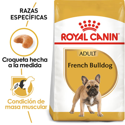 French Bulldog Adult 7.7 kg