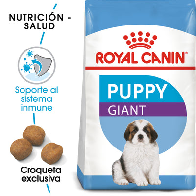 Giant Puppy 13.6 kg