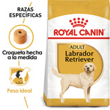 Labrador Retriever Adult 13.6kg