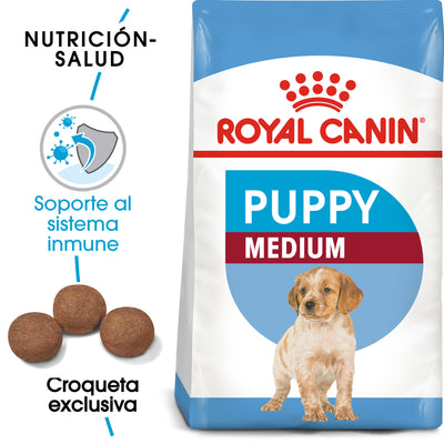 Medium Puppy