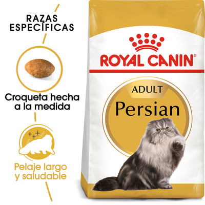 Persian 3.1 kg