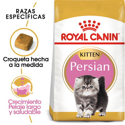 Persian Kitten 1.3 kg
