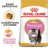 Persian Kitten 1.3kg