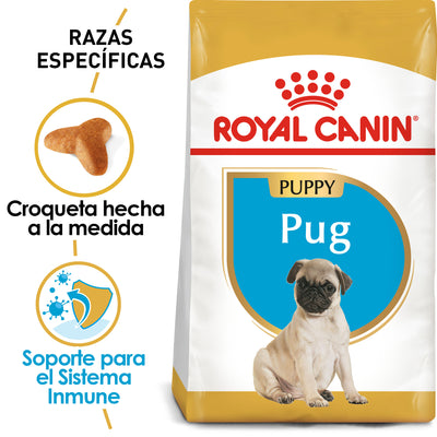 Pug Puppy 1.1 kg