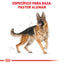 German Shepherd Adult 13.6 kg