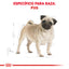 Pug Adult 4.5 kg