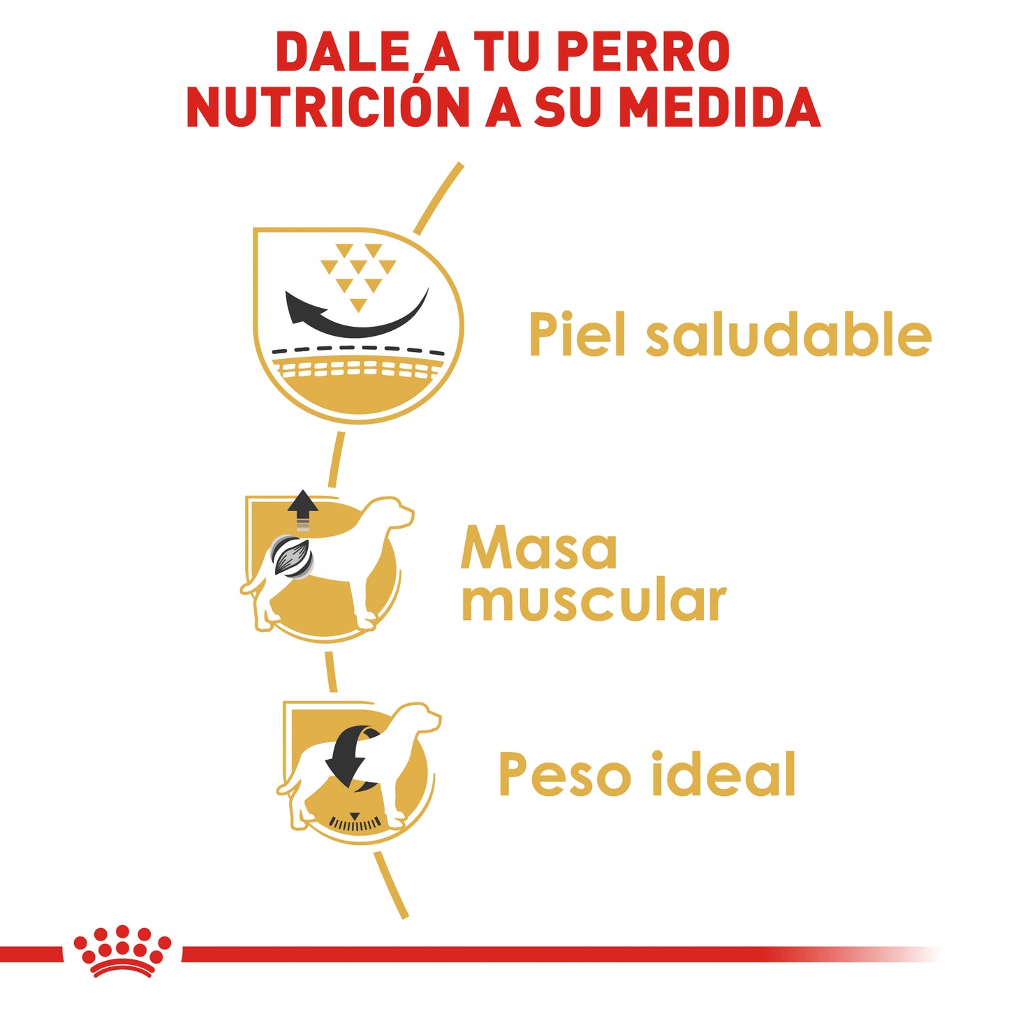 Pug Adult 4.5 kg