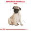 Pug Puppy 1.1 kg