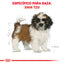 Shih-Tzu Puppy 1.1 kg