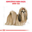 Shih-Tzu Adult