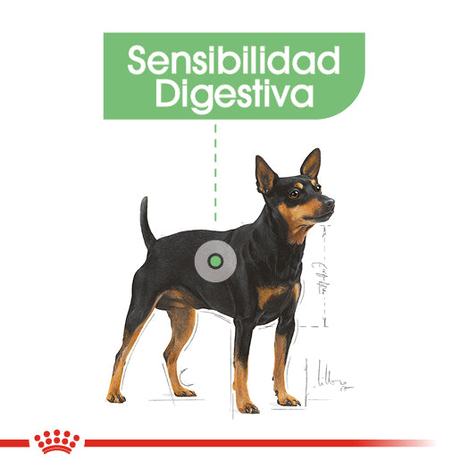 Small Digestive Care 1.5 kg