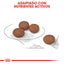 Small Digestive Care 1.5 kg